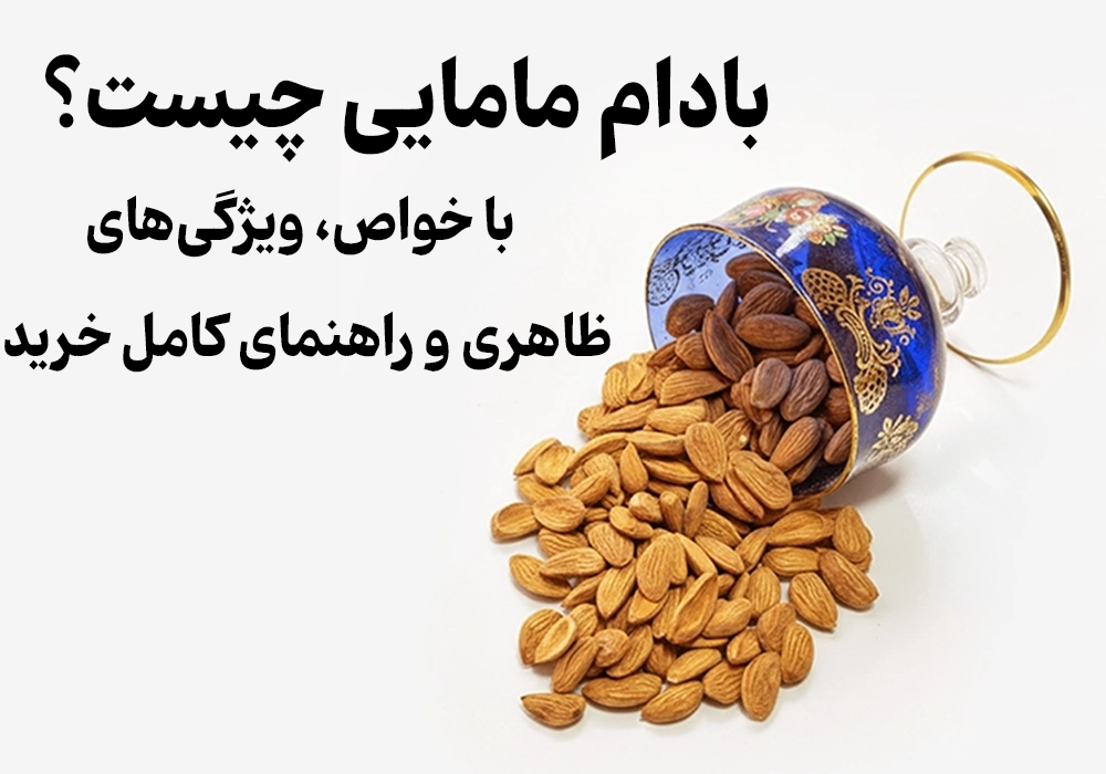 Midwifery Almonds: The Complete Guide