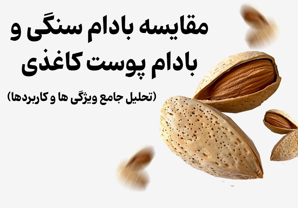 Comparison of Stone Almonds and Paper-Skinned Almonds: Which is Better?