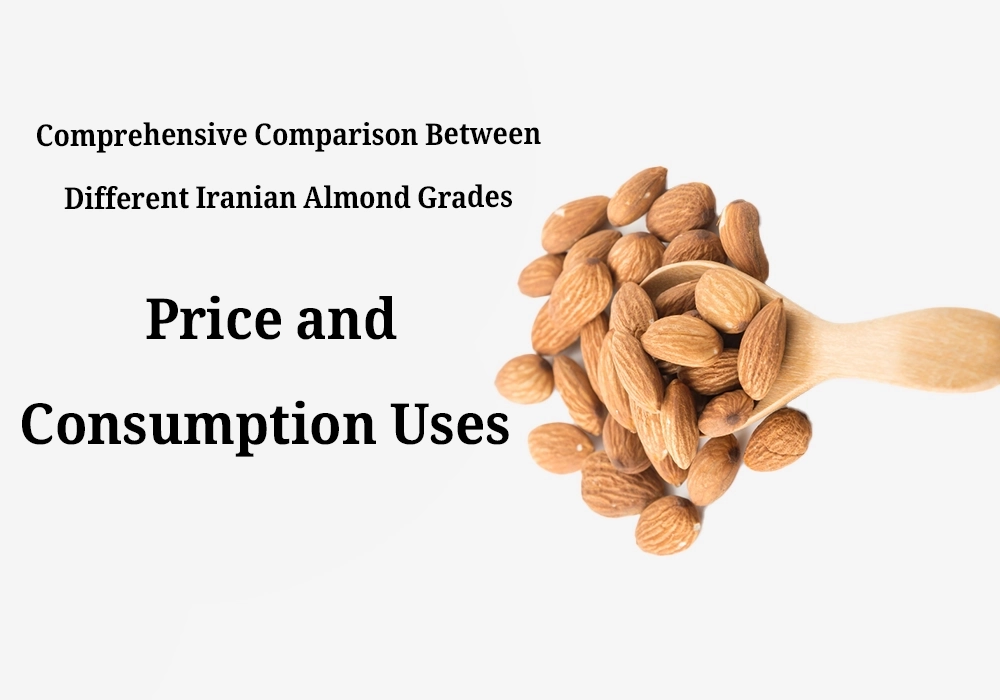 Comprehensive comparison between the sizes of different almond grades in Iran