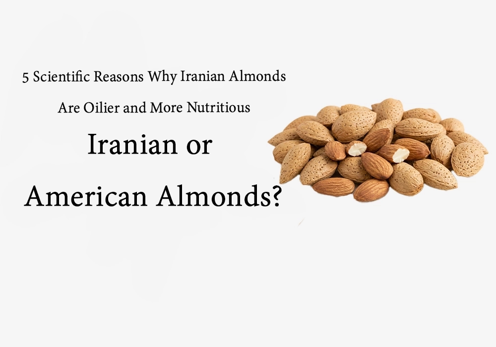 Iranian vs. American Almonds: 5 Scientific Reasons Why Iranian Almonds Have Higher Oil Content